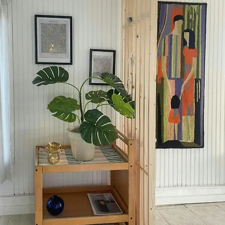 Retro With Fjord View